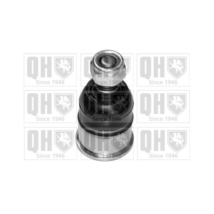 Šarnyras / girgždukas QUINTON HAZELL QSJ1793S