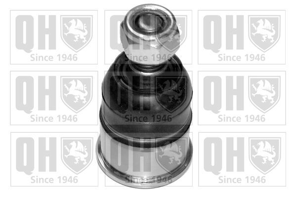 Šarnyras / girgždukas QUINTON HAZELL QSJ1793S