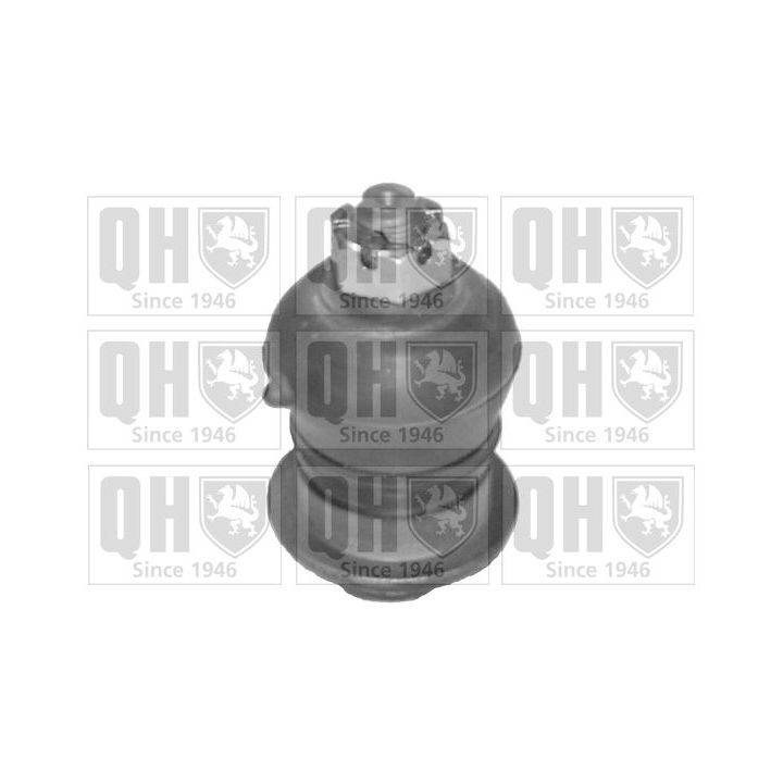 Šarnyras / girgždukas QUINTON HAZELL QSJ1794S