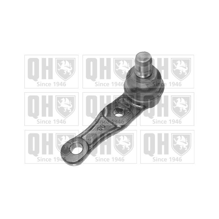 Šarnyras / girgždukas QUINTON HAZELL QSJ1796S