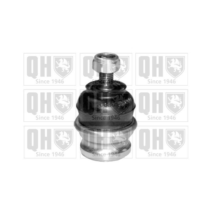 Šarnyras / girgždukas QUINTON HAZELL QSJ1903S