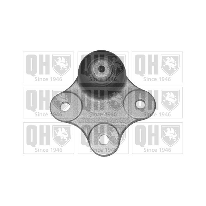 Šarnyras / girgždukas QUINTON HAZELL QSJ3393S