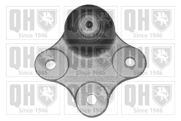 Šarnyras / girgždukas QUINTON HAZELL QSJ3393S