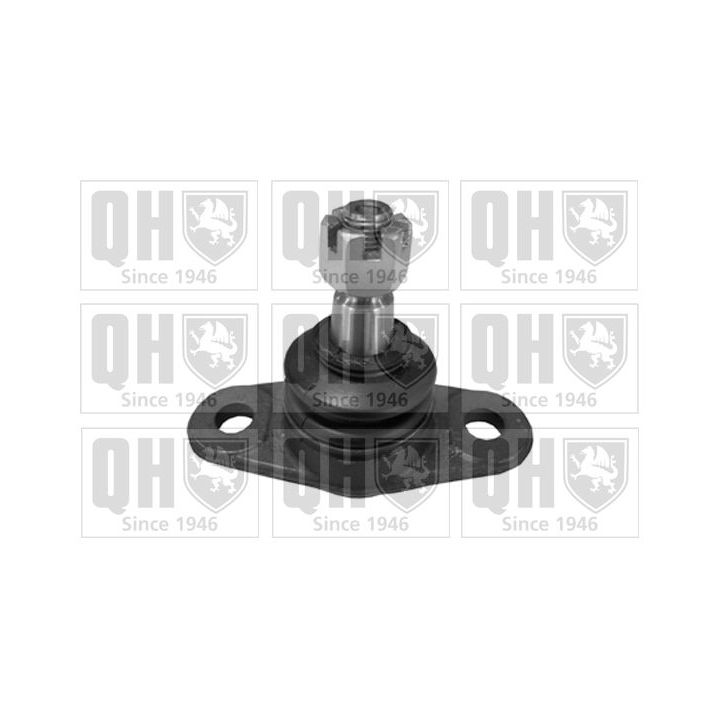 Šarnyras / girgždukas QUINTON HAZELL QSJ3437S