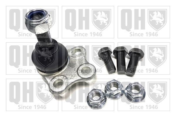 Šarnyras / girgždukas QUINTON HAZELL QSJ3489S