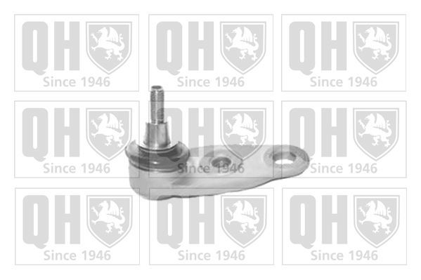 Šarnyras / girgždukas QUINTON HAZELL QSJ3501S