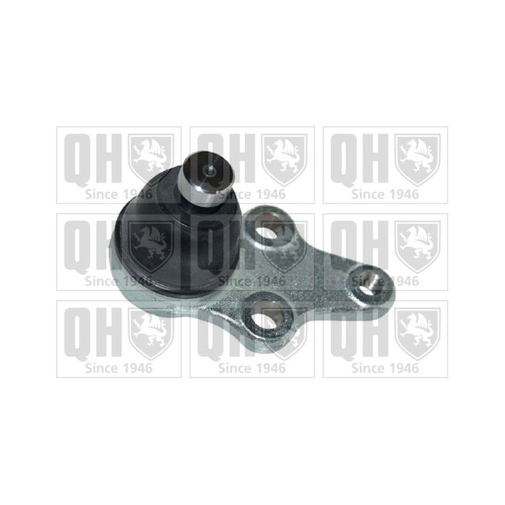 Šarnyras / girgždukas QUINTON HAZELL QSJ3746S