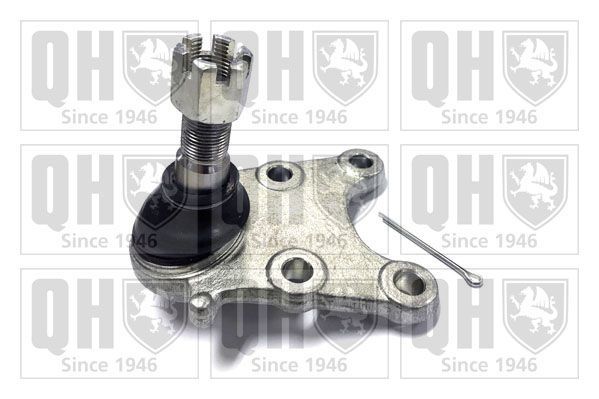 Šarnyras / girgždukas QUINTON HAZELL QSJ3822S