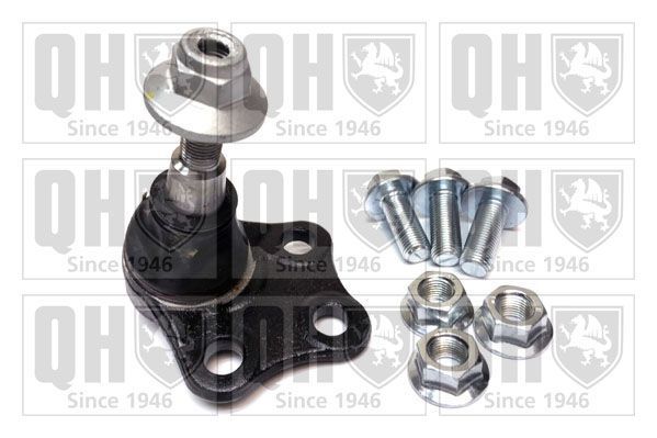 Šarnyras / girgždukas QUINTON HAZELL QSJ3831S