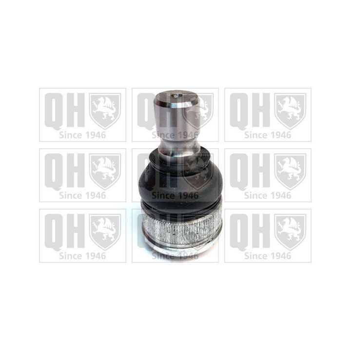 Šarnyras / girgždukas QUINTON HAZELL QSJ3889S