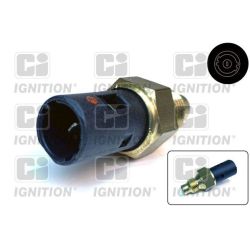 Temperatūros jungiklis, aušinimo skysčio įspėjimo lemputė QUINTON HAZELL XTS20