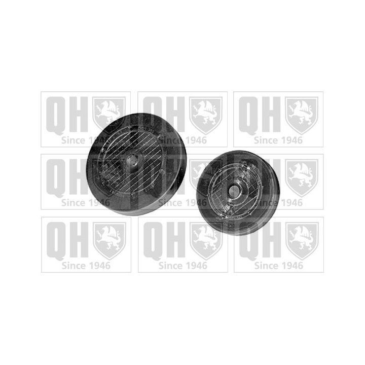 Kaištis, pavaros svirties veleno tvirtinimo anga QUINTON HAZELL QTT3000K