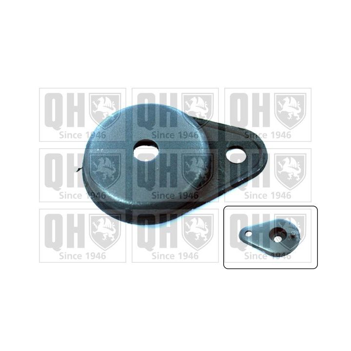 Montavimas, atraminis rėmas / variklio laikiklis QUINTON HAZELL EM1445