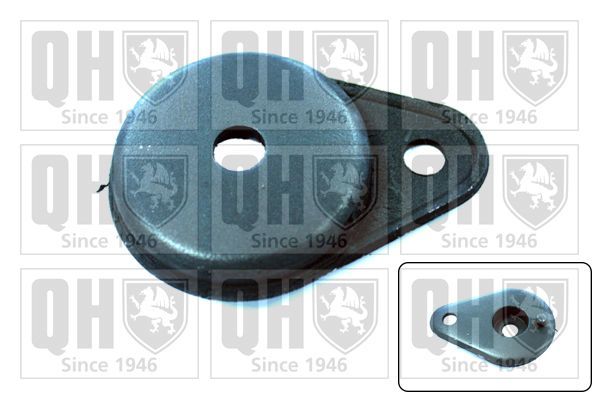 Montavimas, atraminis rėmas / variklio laikiklis QUINTON HAZELL EM1445