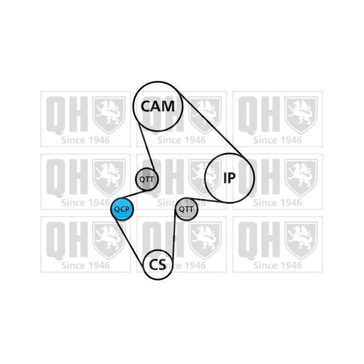 Vandens siurblio ir paskirstymo diržo komplektas QUINTON HAZELL QBPK1530