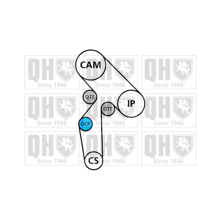 Vandens siurblio ir paskirstymo diržo komplektas QUINTON HAZELL QBPK2550