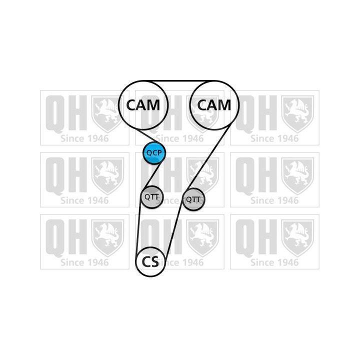 Vandens siurblio ir paskirstymo diržo komplektas QUINTON HAZELL QBPK5800