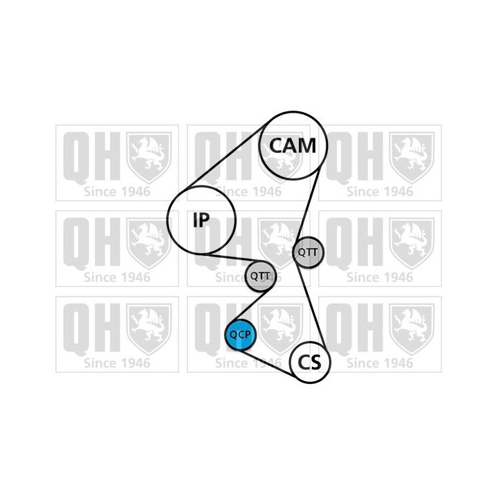 Vandens siurblio ir paskirstymo diržo komplektas QUINTON HAZELL QBPK5850