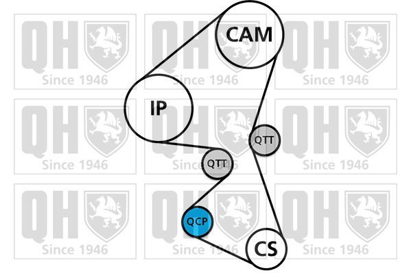 Vandens siurblio ir paskirstymo diržo komplektas QUINTON HAZELL QBPK5850
