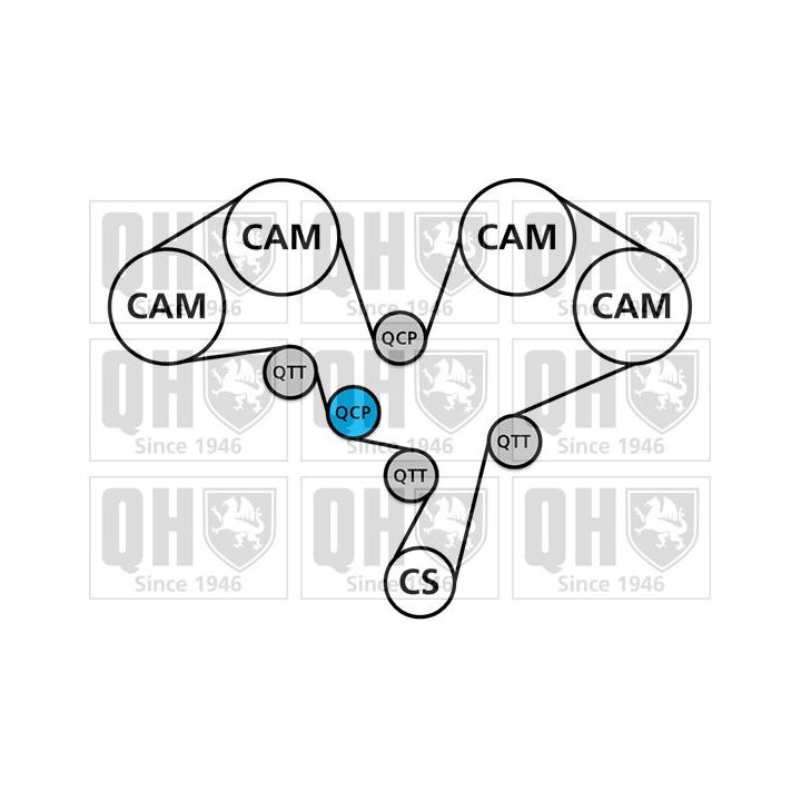 Vandens siurblio ir paskirstymo diržo komplektas QUINTON HAZELL QBPK5910