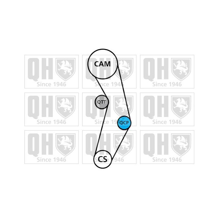 Vandens siurblio ir paskirstymo diržo komplektas QUINTON HAZELL QBPK6331