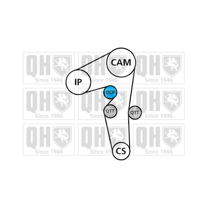 Vandens siurblio ir paskirstymo diržo komplektas QUINTON HAZELL QBPK6590