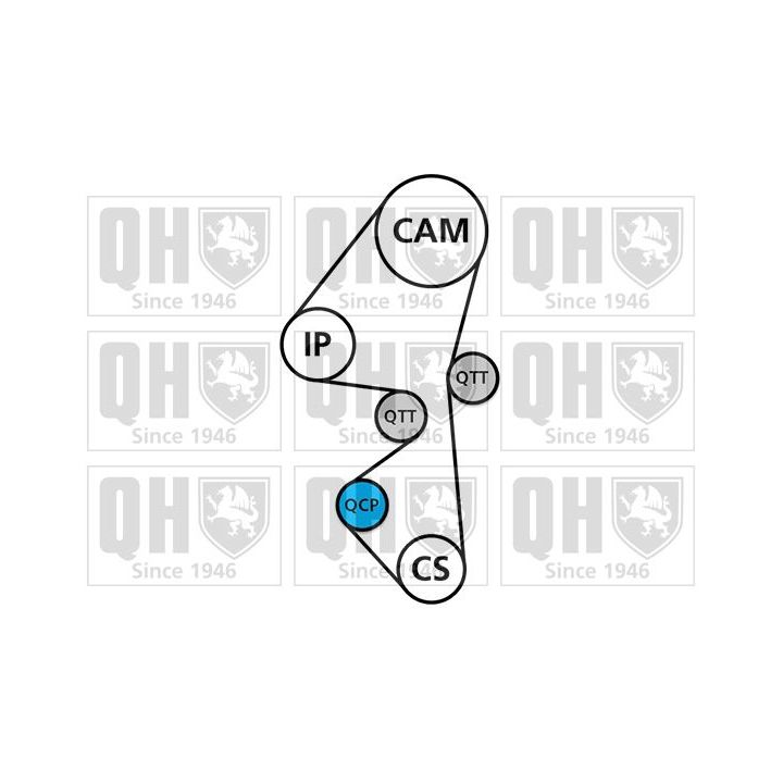 Vandens siurblio ir paskirstymo diržo komplektas QUINTON HAZELL QBPK8710