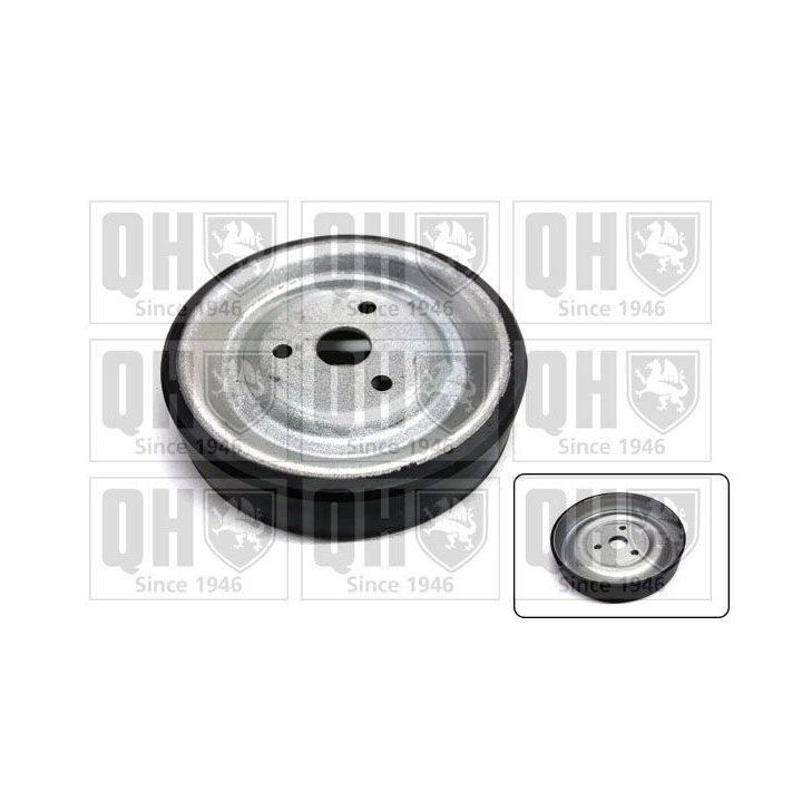 Skriemulys, vandens siurblys QUINTON HAZELL QCD190