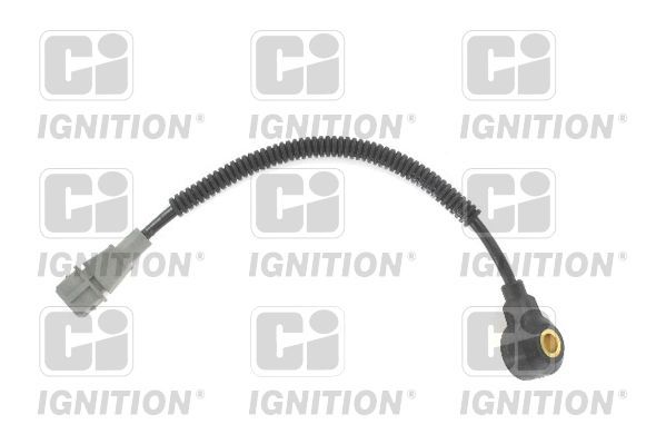 Detonacijos jutiklis QUINTON HAZELL XKS124