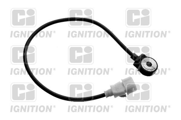 Detonacijos jutiklis QUINTON HAZELL XKS31