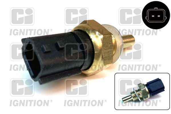 Siuntimo blokas, aušinimo skysčio temperatūra QUINTON HAZELL XEMS261