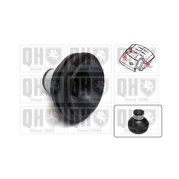 Variklio dangtis QUINTON HAZELL EM4839