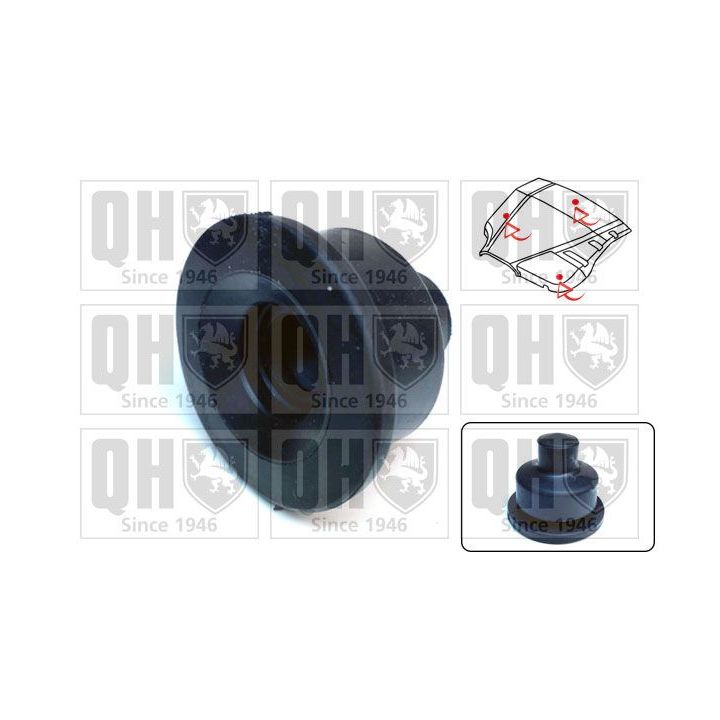 Variklio dangtis QUINTON HAZELL EM4924