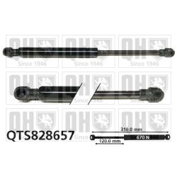 Dujinė spyruoklė, durys QUINTON HAZELL QTS828657