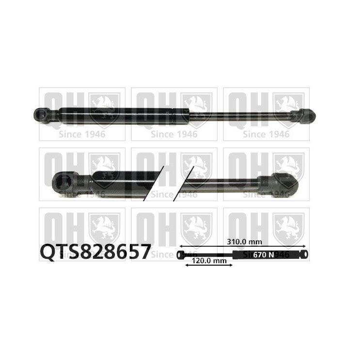 Dujinė spyruoklė, durys QUINTON HAZELL QTS828657