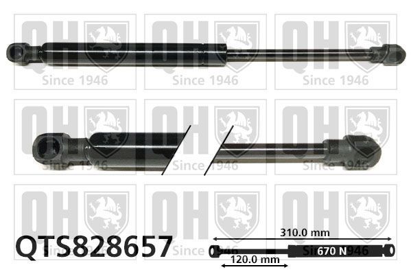 Dujinė spyruoklė, durys QUINTON HAZELL QTS828657