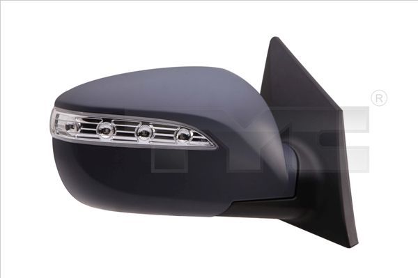 Išorinis veidrodėlis TYC 313-0055