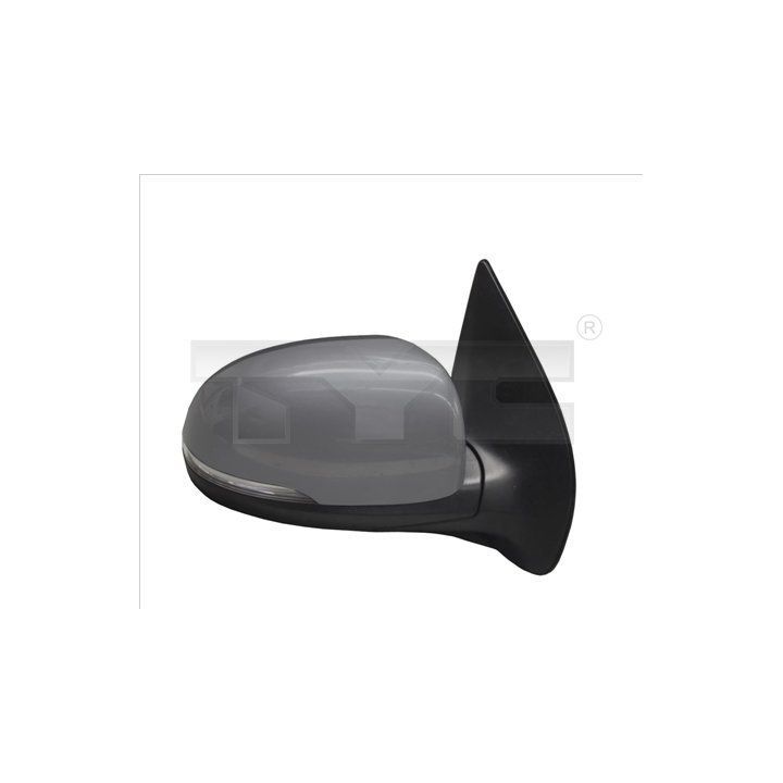Išorinis veidrodėlis TYC 313-0064