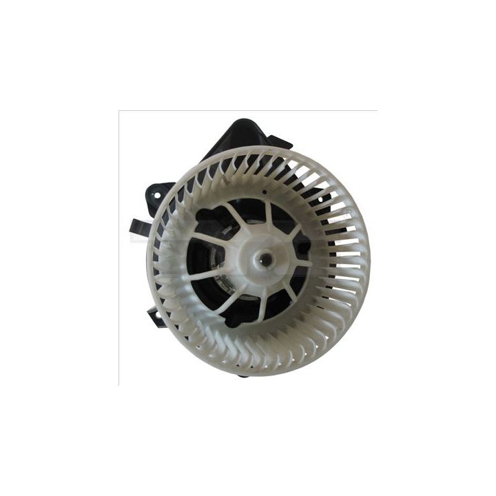 Vidaus pūtiklis TYC 509-0006