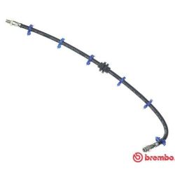 Stabdžių žarnelė BREMBO T 23 029