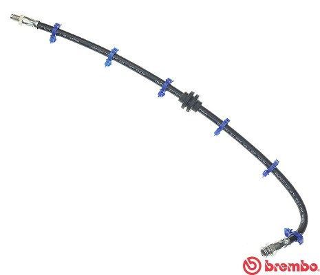 Stabdžių žarnelė BREMBO T 23 029