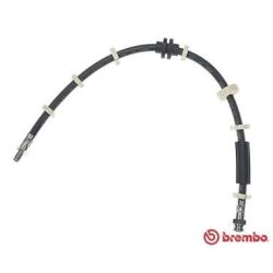 Stabdžių žarnelė BREMBO T 23 031