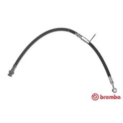 Stabdžių žarnelė BREMBO T 30 056