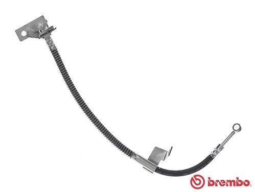 Stabdžių žarnelė BREMBO T 30 061