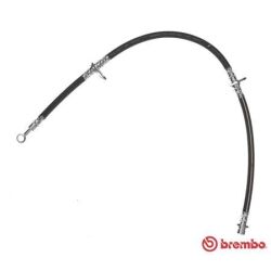 Stabdžių žarnelė BREMBO T 52 023