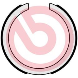 Stabdžių trinkelių komplektas, stovėjimo stabdis BREMBO S 49 523