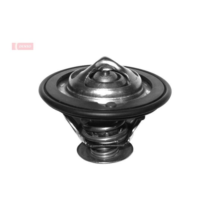 Termostatas, aušinimo skystis DENSO DTM77614