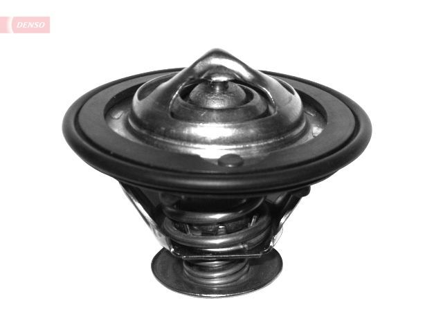 Termostatas, aušinimo skystis DENSO DTM77614