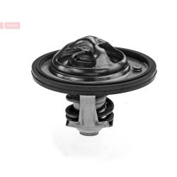 Termostatas, aušinimo skystis DENSO DTM82513