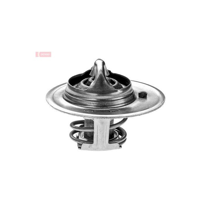Termostatas, aušinimo skystis DENSO DTM88240